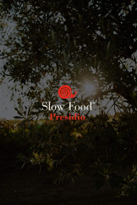 cover-slowfood